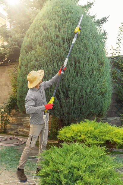 Best Lawn Watering Services  in Salisbury, MO